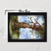 Elm Maid Postkarte (Vorne/Hinten)