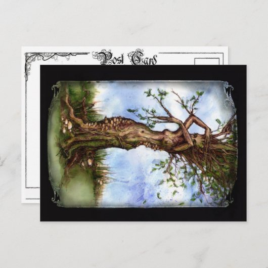 Elm Maid Postkarte (Vorne/Hinten)