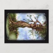 Elm Maid Postkarte (Vorderseite)