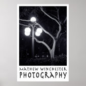 Elm und Lamppost Poster (Vorne)