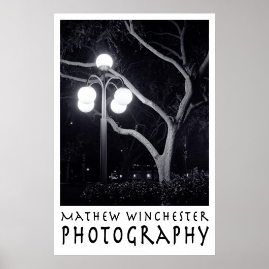 Elm und Lamppost Poster (Vorne)