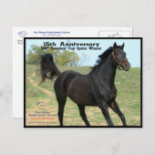 Elmhurst - "der 97 Brüter-" Cup sprinten Sieger Postkarte (Vorne/Hinten)