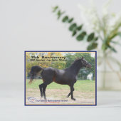 Elmhurst - Sieger des "97 Breeders Cup" Postkarte (Stehend Vorderseite)