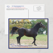 Elmhurst - Sieger des "97 Breeders Cup" Postkarte (Vorne/Hinten)