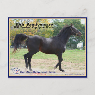 Elmhurst - Sieger des "97 Breeders Cup" Postkarte