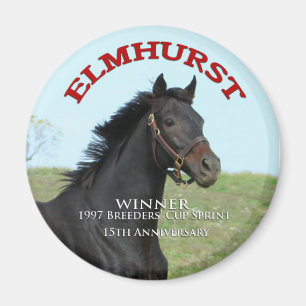 Elmhurst - Sprint-Sieger des "97 Breeders Cup" Magnet