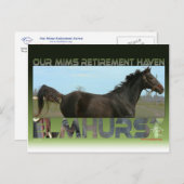 Elmhurst - Sprintsieger des "97 Breeders" Cup Postkarte (Vorne/Hinten)