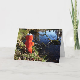 Elmo Plassend aan de waterrand. Dankeskarte