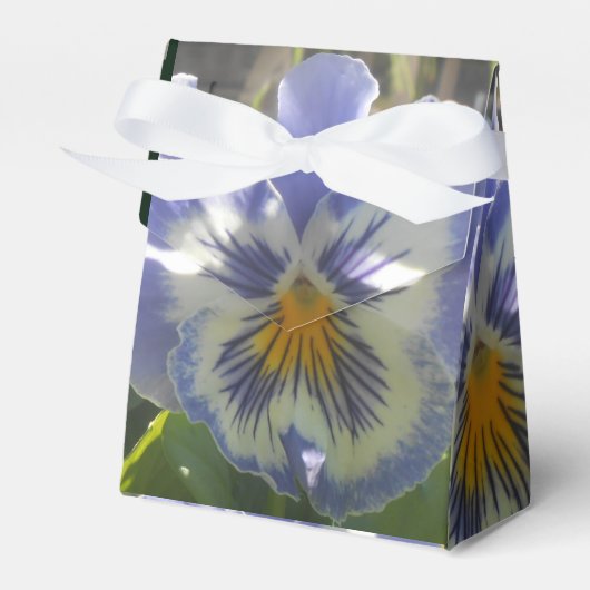Eloise Geschenkschachtel (Vorderseite)