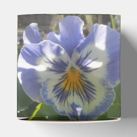 Eloise Geschenkschachtel (Oben)