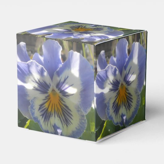 Eloise Geschenkschachtel (Rückseite)