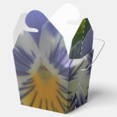 Eloise Geschenkschachtel (Geöffnet)