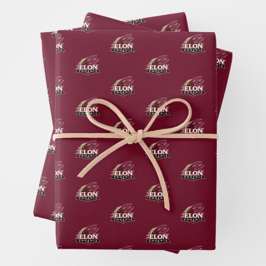 Elon Phoenix Geschenkpapier Set (Beispiel)
