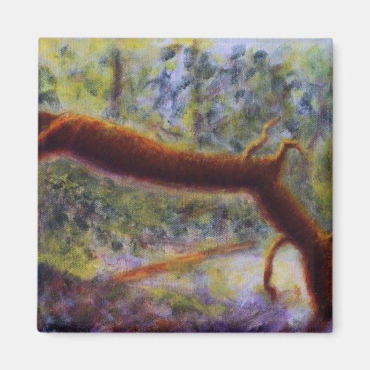 Elora Gorge, Magnet (Vorne)