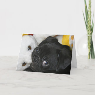 Elsa and Teddy Karte