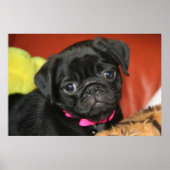 Elsa - Druck Poster (Vorne)