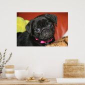 Elsa - Druck Poster (Küche)