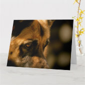 Elsass Emotionen Geburtstag Karte (Gelbe Blume)