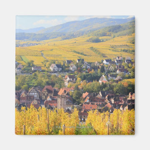 Elsaß, Frankreich 6 Magnet