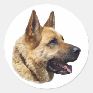 Elsässisches Schäferhundporträt Runder Aufkleber