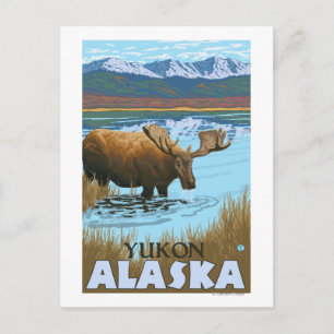 Elsengetränk am See - Yukon, Alaska Postkarte