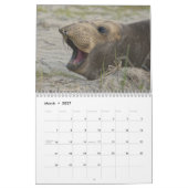 Elsie Mae Anacortes Washington Kalender (Mär 2027)