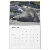 Elsie Mae Calendar Kalender (Mär 2026)