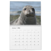 Elsie Mae Calendar Kalender (Jan 2026)