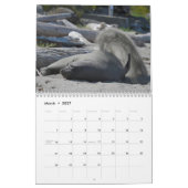Elsie Mae Calendar Kalender (Mär 2027)