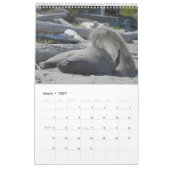 Elsie Mae Calendar Kalender (Mär 2027)