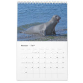 Elsie Mae Calendar Kalender (Feb 2027)