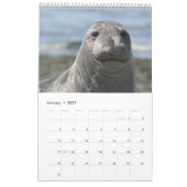 Elsie Mae Calendar Kalender (Jan 2027)
