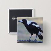 Elster-Abzeichen (2) perfekt für Collingwood F.C. Button (Vorne & Hinten)