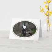 Elster-Geburtstags-Karte Karte (Gelbe Blume)