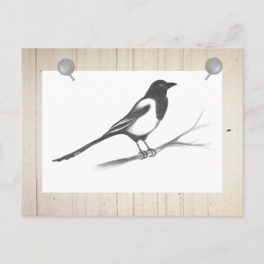 Elster Postkarte (Vorderseite)