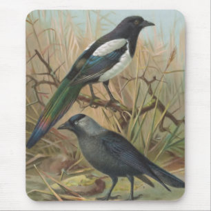 Elster-und Dohlen-Vintage Vogel-Illustration Mousepad