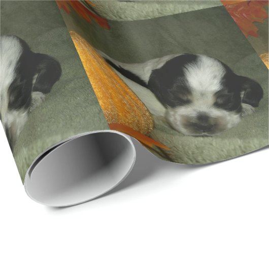 ELVIS, blauer roan &tan Amerikaner-cocker Geschenkpapier (Rolleneckpunkt)