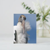 Elvis - Die Postkarte des Holzstorchs (Stehend Vorderseite)