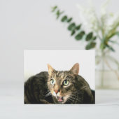 Elvis Postkarte (Stehend Vorderseite)