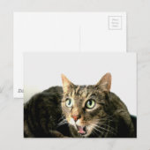 Elvis Postkarte (Vorne/Hinten)