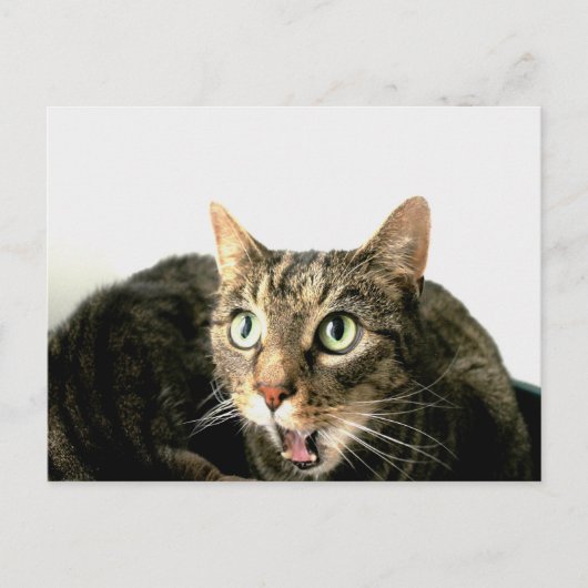 Elvis Postkarte (Vorderseite)