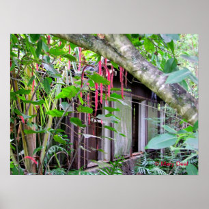 Elvis Presley Bungalow Poster