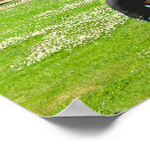 Ely Cathedral Poster (Ecke)