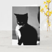 Embarrassed Kitten Belated Geburtstagskarte Karte (Gelbe Blume)