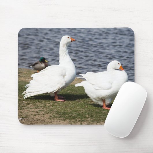 Embden Geese Mousepad (Mit Mouse)