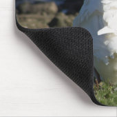 Embden Goose Mousepad (Ecke)