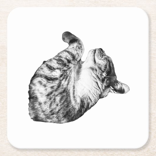 Ember-Step Purr Rechteckiger Pappuntersetzer (Vorderseite)
