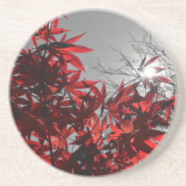 Embers of Autumn Getränkeuntersetzer