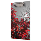 Embers of Autumn Klemmbrett (Links)