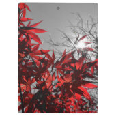 Embers of Autumn Klemmbrett (Rückseite)